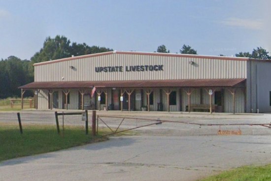 14-Year-Old Held After Horse Shot, Goats Vanish Near Salem, SC