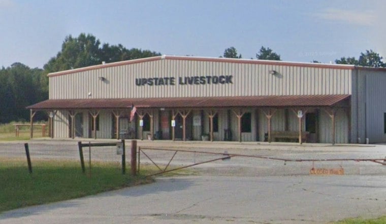 14-Year-Old Held After Horse Shot, Goats Vanish Near Salem, SC