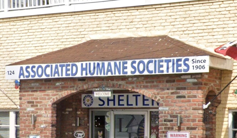 16 Matted Bichon Mixes Dumped in Newark Apartment Overwhelm Shelter