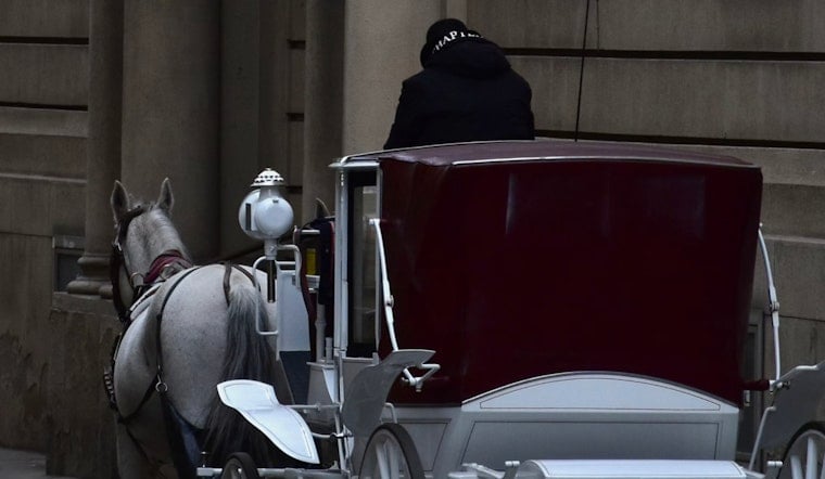 17-Year-Old Carriage Horse Snowman Falls in Central Park, Reignites Ban Push