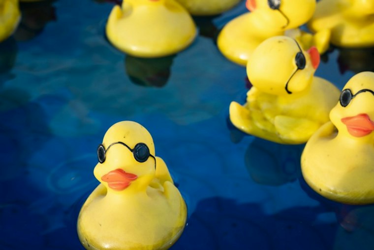 20,000 Rubber Ducks Flood Ala Wai Canal to Help Oahu Keiki With Cerebral Palsy