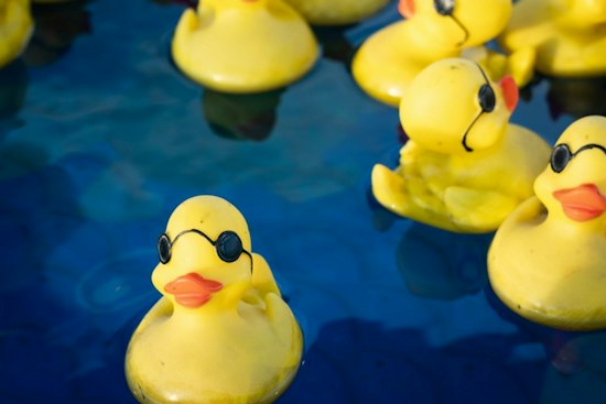 20,000 Rubber Ducks Flood Ala Wai Canal to Help Oahu Keiki With Cerebral Palsy
