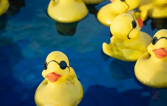 20,000 Rubber Ducks Flood Ala Wai Canal to Help Oahu Keiki With Cerebral Palsy