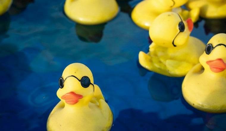 20,000 Rubber Ducks Flood Ala Wai Canal to Help Oahu Keiki With Cerebral Palsy