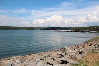 20-Year-Old Man Drowns Crossing Cove at Lake Allatoona
