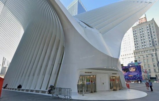 25 Years After 9/11, Survivors Traded Wall Street for Lives of Service