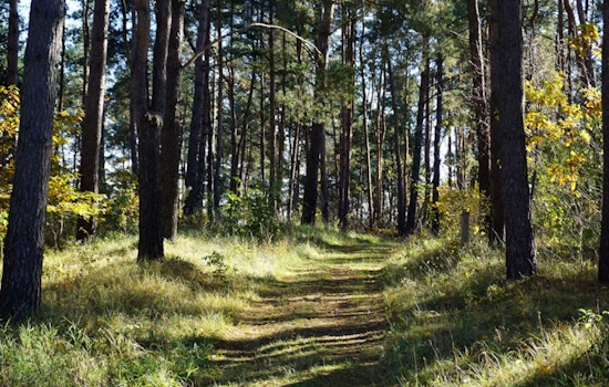 500-Mile Sierra Trail Plan Would Link 16 Towns From Tahoe to Lassen