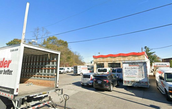83 Chickens Rescued From Abandoned Brooklyn U-Haul Before Yom Kippur