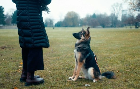9/11 Responder Receives Service Dog to Help With Anxiety