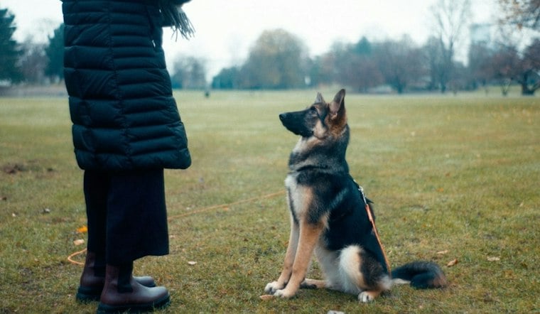9/11 Responder Receives Service Dog to Help With Anxiety
