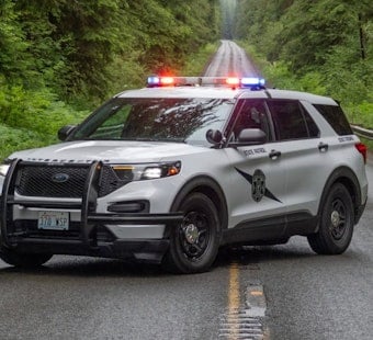 96 MPH Chase Onto Seattle Streets Ends With Driver Vanishing on Foot