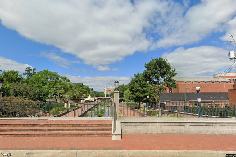 Afroflavour Food Festival Returns to Carroll Creek With Nigerian Roots, Pan-African Reach