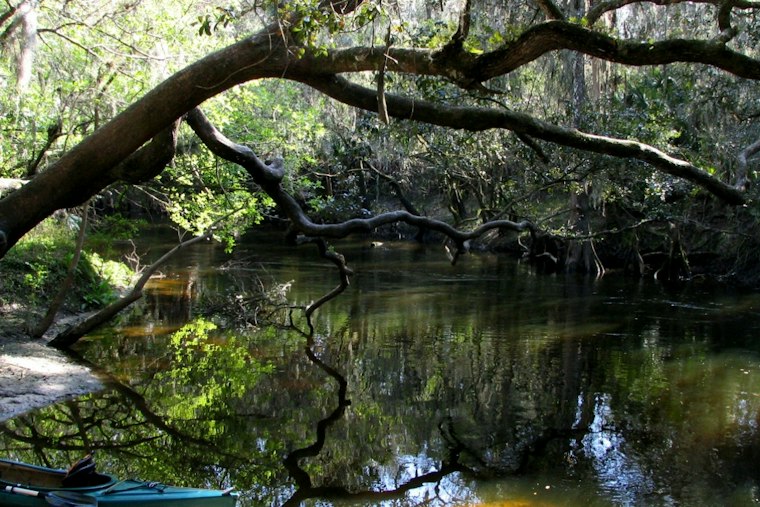 Alafia River Current Traps Husband and Wife, Hillsborough Deputies Haul Them Out