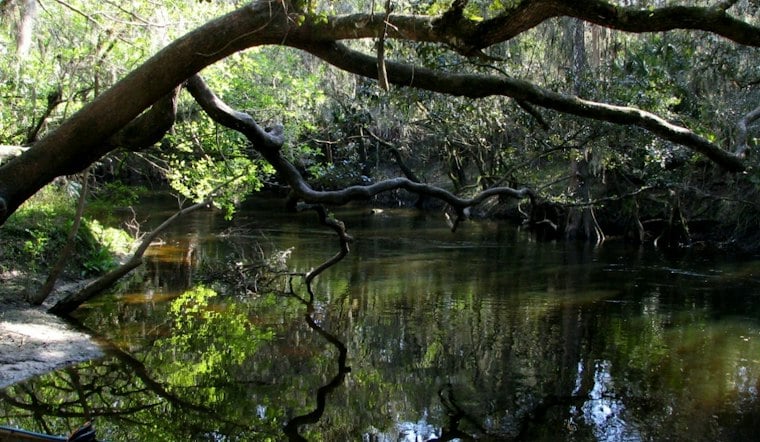 Alafia River Current Traps Husband and Wife, Hillsborough Deputies Haul Them Out