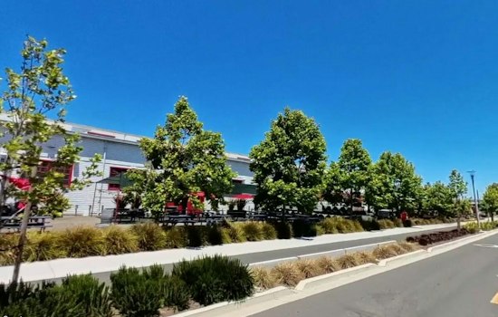 Alameda's The Rake Pours Its Last Pint Oct. 18 as Admiral Maltings Shuts Down