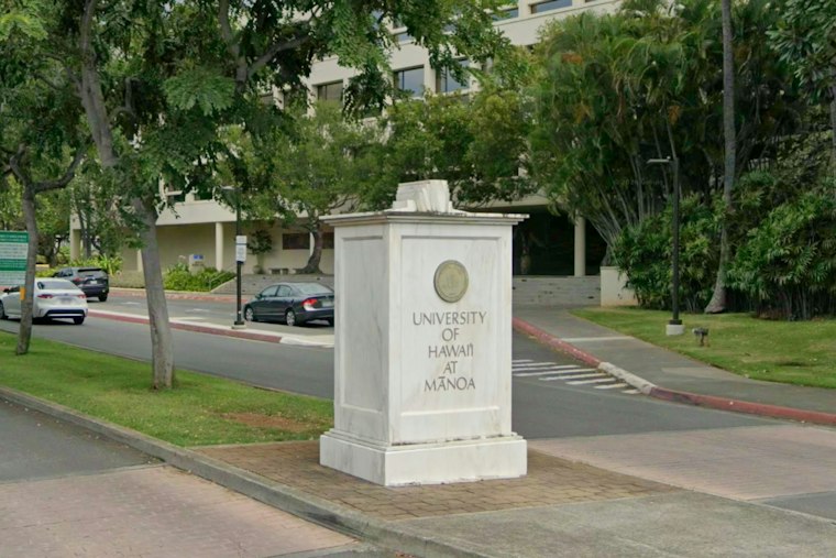 All 10 University of Hawaiʻi Campuses Now Offer Sensory Rooms to Curb Student Dropouts