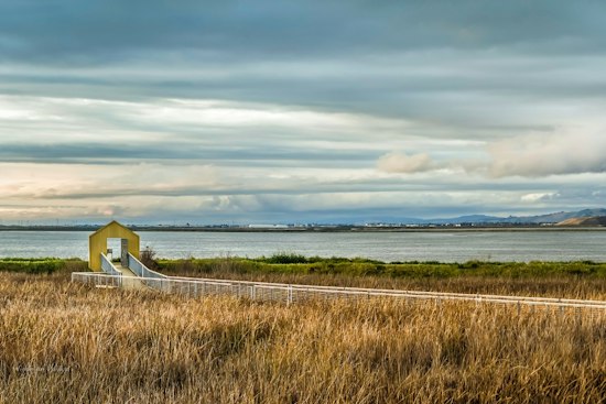 Alviso Marina Park Hosts Day on the Bay With Free Kayaks and Flu Shots