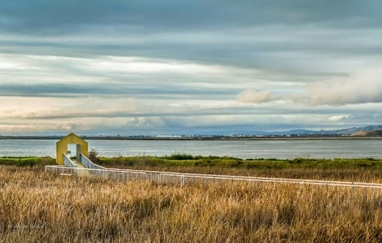 Alviso Marina Park Hosts Day on the Bay With Free Kayaks and Flu Shots