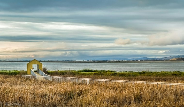 Alviso Marina Park Hosts Day on the Bay With Free Kayaks and Flu Shots