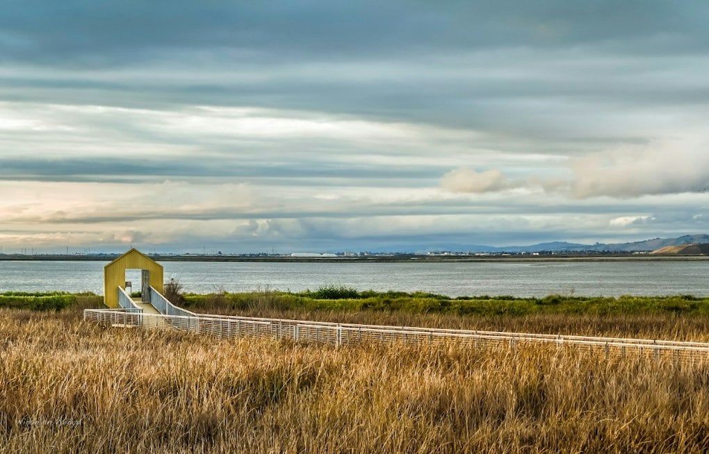 Alviso Marina Park Hosts Day on the Bay With Free Kayaks and Flu Shots