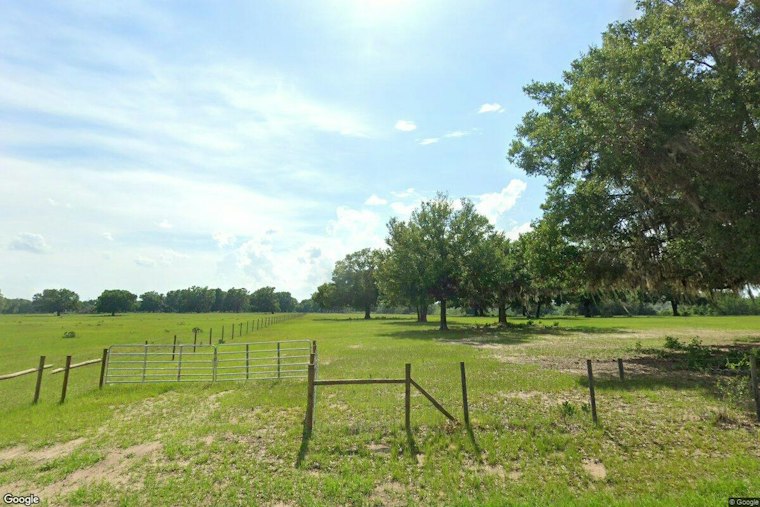 Amber Brooke Farms Fall Festival Brings Pumpkins and Sunflowers to Eustis