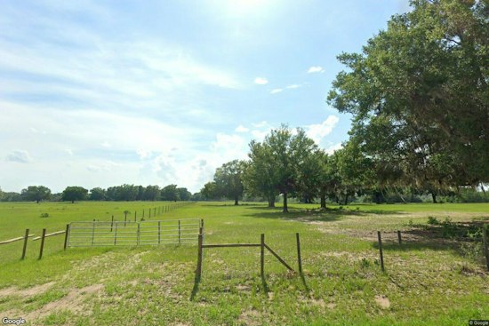 Amber Brooke Farms Fall Festival Brings Pumpkins and Sunflowers to Eustis