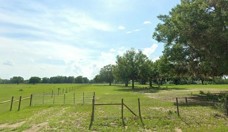 Amber Brooke Farms Fall Festival Brings Pumpkins and Sunflowers to Eustis
