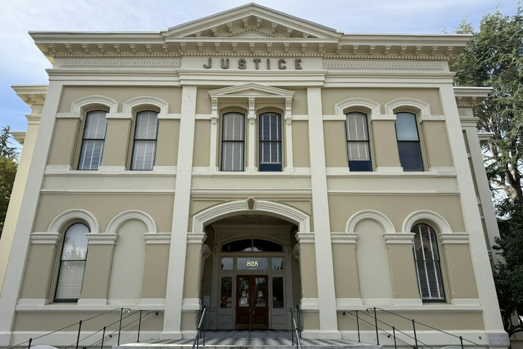 American Canyon Man, 31, Pleads Not Guilty in Injured Puppy Abuse Case