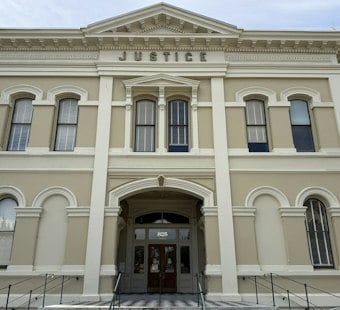 American Canyon Man, 31, Pleads Not Guilty in Injured Puppy Abuse Case