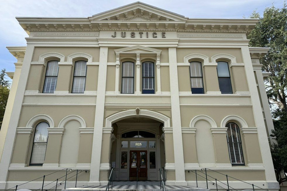 American Canyon Man, 31, Pleads Not Guilty in Injured Puppy Abuse Case