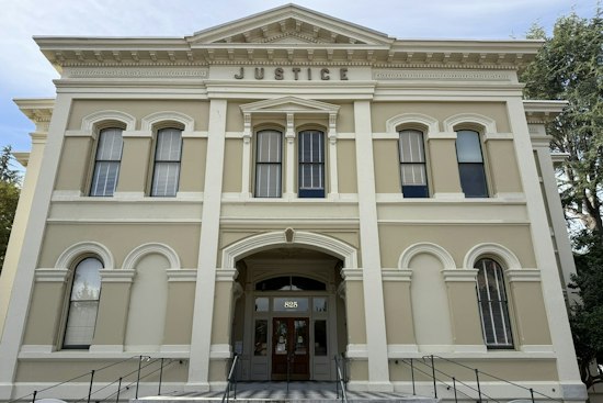 American Canyon Man, 31, Pleads Not Guilty in Injured Puppy Abuse Case