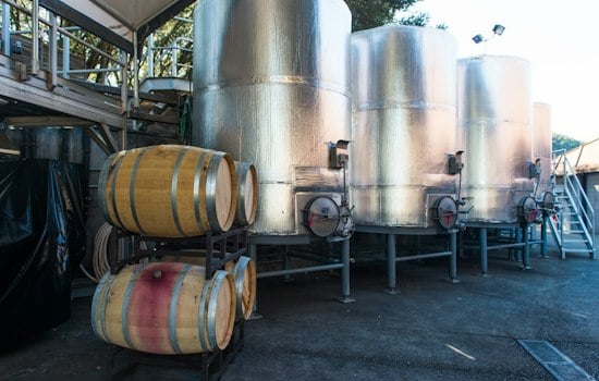American Canyon Winery Shuts Down Mid-Harvest, Leaving Winemakers Scrambling