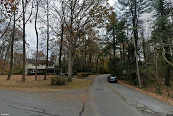 Anne Arundel Resident Trapped as Giant Tree Crushes Roof During Storms