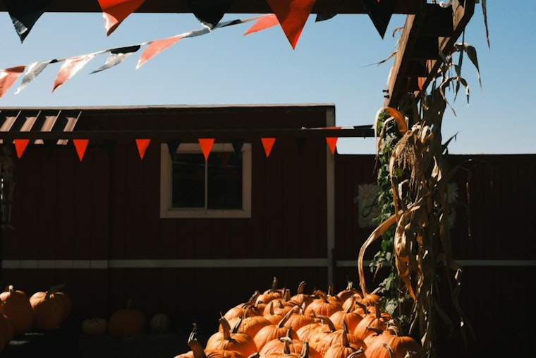 Apple Valley Nonprofit Warns Scammers Are Faking Fall Festival Vendor Spots