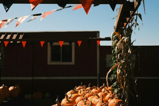 Apple Valley Nonprofit Warns Scammers Are Faking Fall Festival Vendor Spots