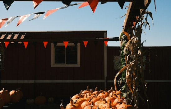 Apple Valley Nonprofit Warns Scammers Are Faking Fall Festival Vendor Spots
