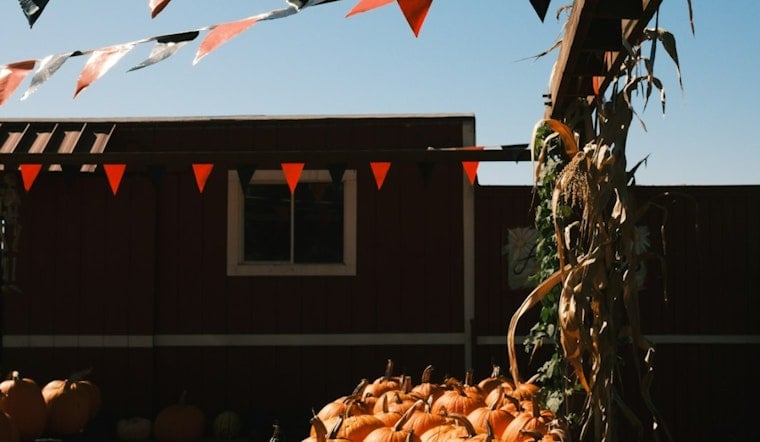 Apple Valley Nonprofit Warns Scammers Are Faking Fall Festival Vendor Spots