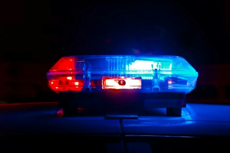 Armed Man Robs Bronx Delivery Driver of Pizza and Wings Near Exterior Street
