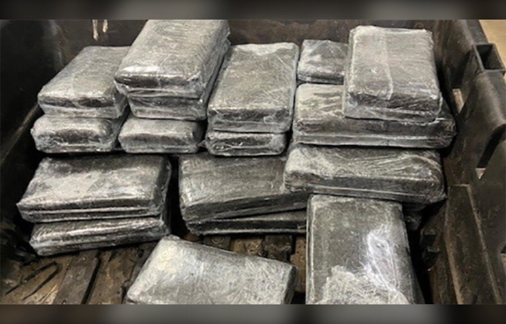 Atlanta Man Gets 10 Years for Hiding Cocaine in Fruit, Electronics Shipments