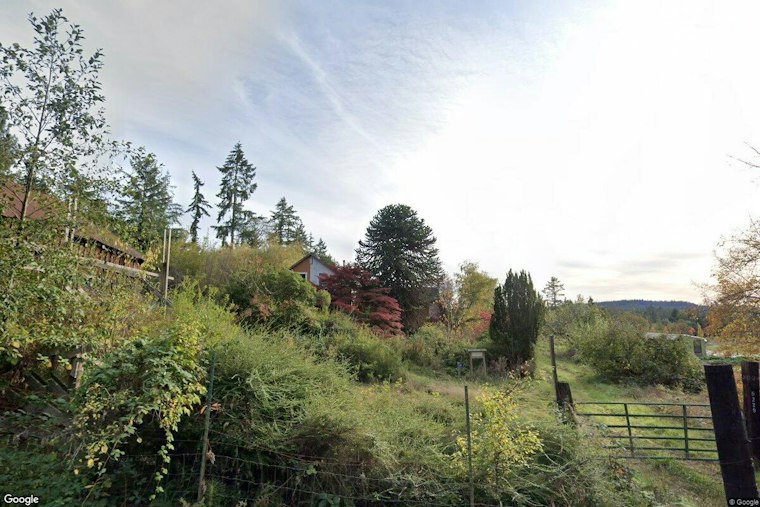 Bainbridge Island's First Dahlia Farm Music Festival Raised Funds for Seattle Pride Youth