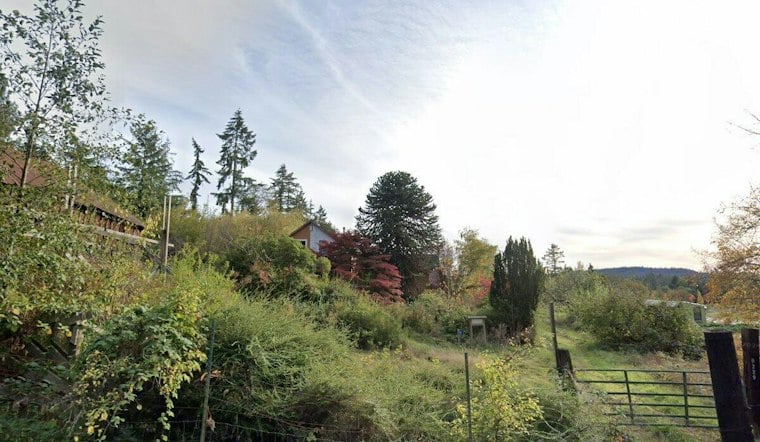 Bainbridge Island's First Dahlia Farm Music Festival Raised Funds for Seattle Pride Youth