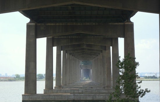 Bayonne Bridge Netting Meant To Deter Pigeons Traps Dozens Instead