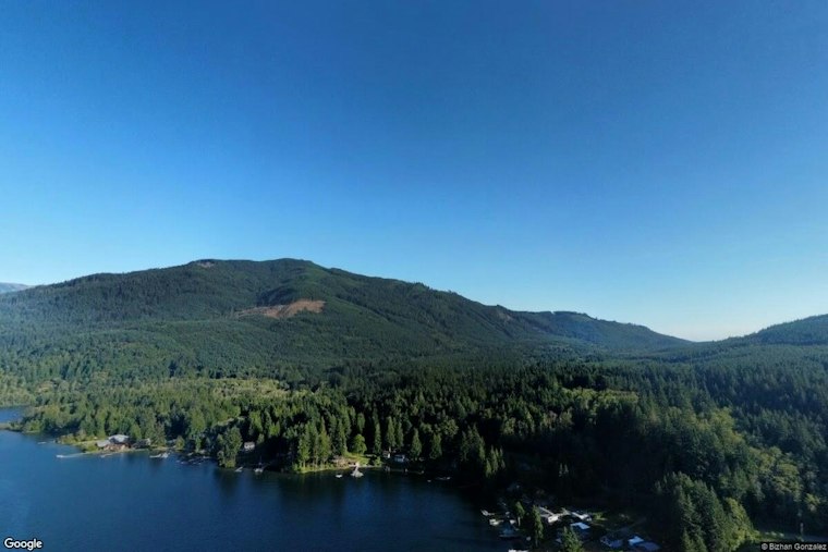 Bear Attack Injures Man and Child North of Lake Whatcom, Trap Now Set