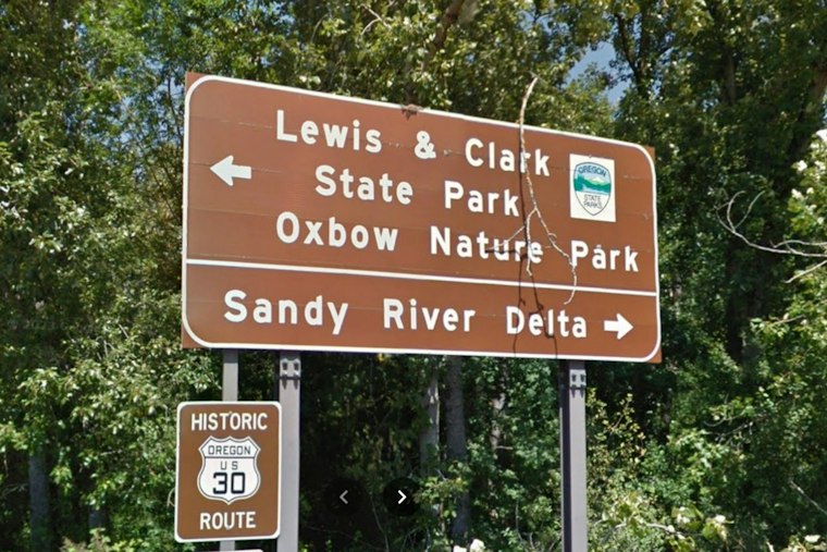 Bear Charges Fishermen at Sandy River Park, Forcing Emergency Closure
