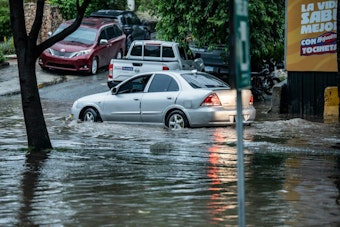 Belmont Road Collapse Traps SUV During Coastal Storm; Cause Remains Unknown