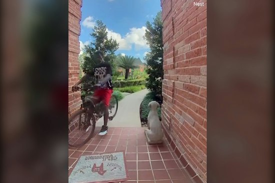 Bicycle-Riding Burglar Hits Two Harris County Homes, Constable Seeks Tips