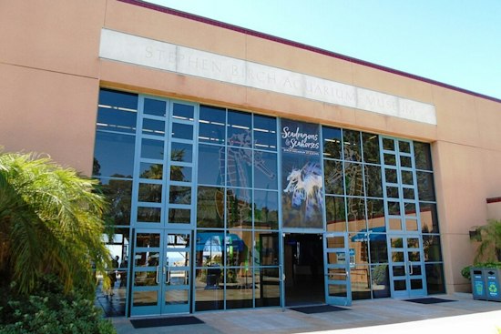 Birch Aquarium Sets Frogs Free in San Jacinto Mountains, Tops 440 Total