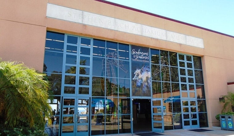 Birch Aquarium Sets Frogs Free in San Jacinto Mountains, Tops 440 Total