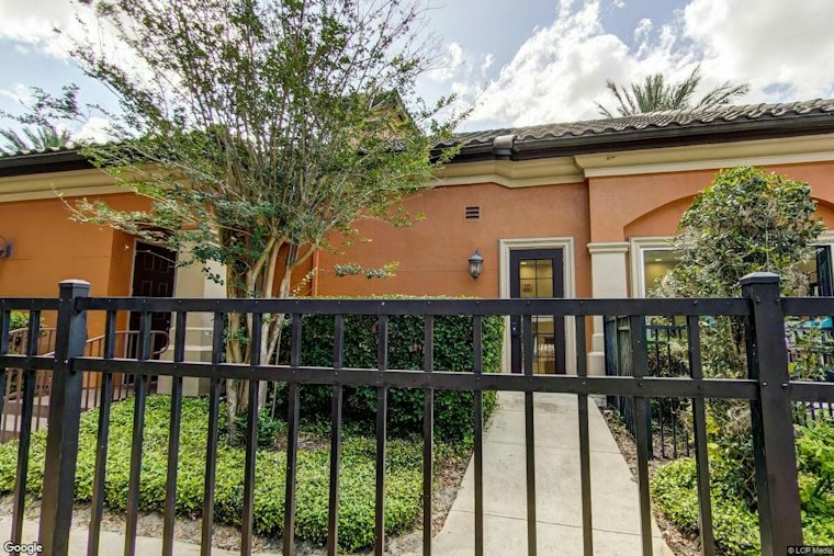 Black Bear Wanders Into Gated Orlando Complex, Police Steer It Into Lake Debra