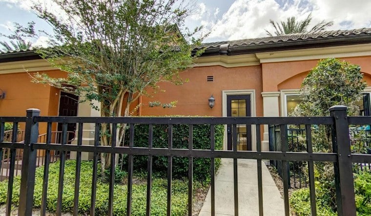 Black Bear Wanders Into Gated Orlando Complex, Police Steer It Into Lake Debra